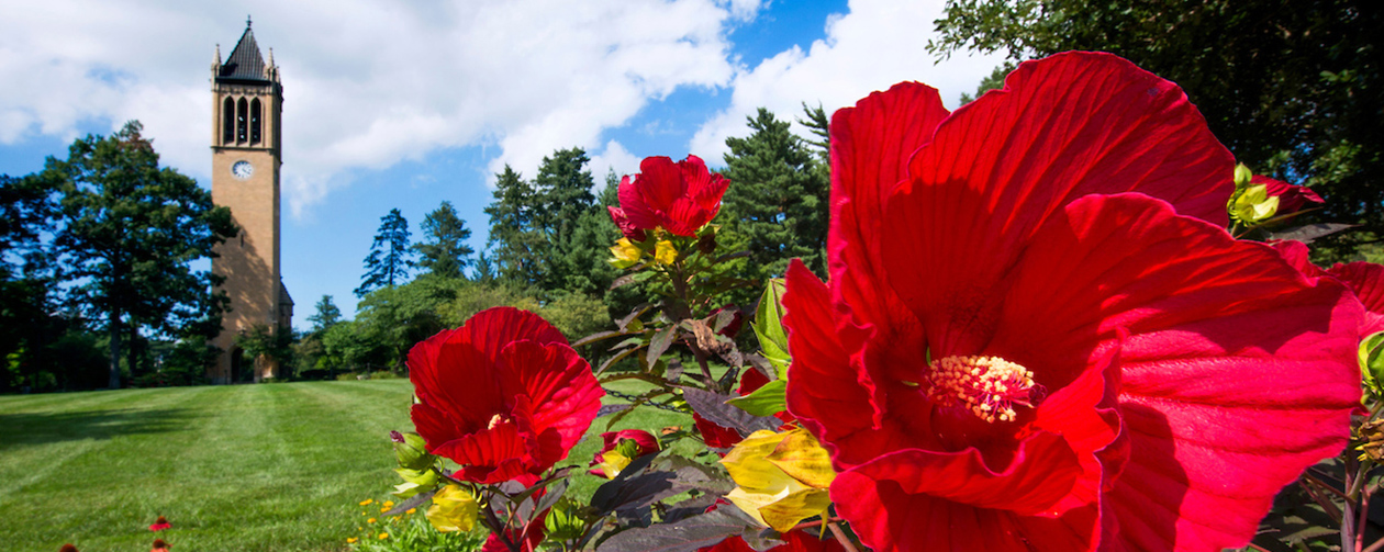 Summer blooms on central campus