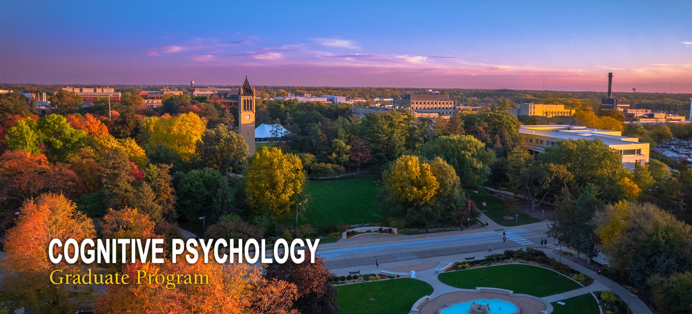 Cognitive Psychology Department Of Psychology Iowa State University